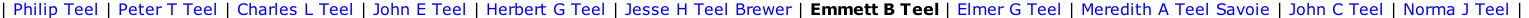 | Philip Teel | Peter T Teel | Charles L Teel | John E Teel | Herbert G Teel | Jesse H Teel Brewer | Emmett B Teel | Elmer G Teel | Meredith A Teel Savoie | John C Teel | Norma J Teel |