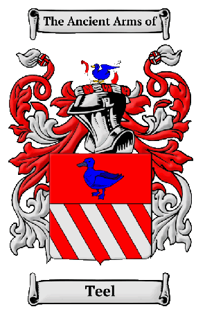 Teel Surname